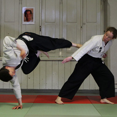 Japon Dövüş Sanatı Taido